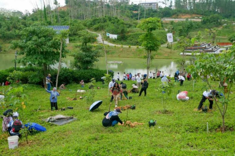 oikn-patpi-komitmen-jadikan-nusantara-pusat-pertanian-berkelanjutan