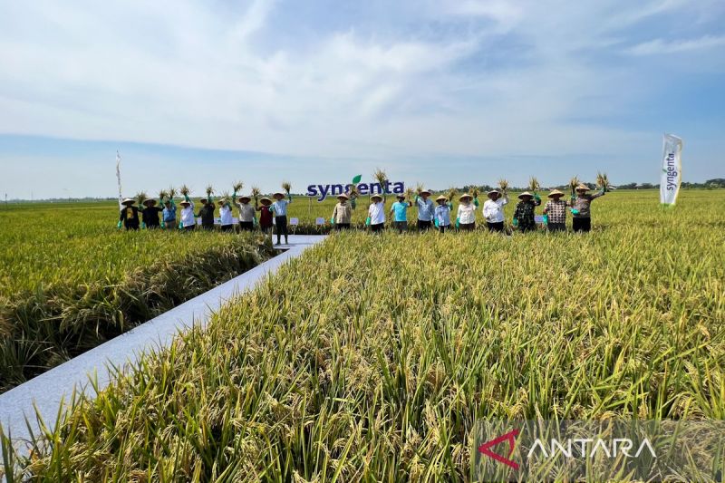 kemarin-bbm-subsidi-kapal-penumpang-hingga-kebijakan-harga-gabah
