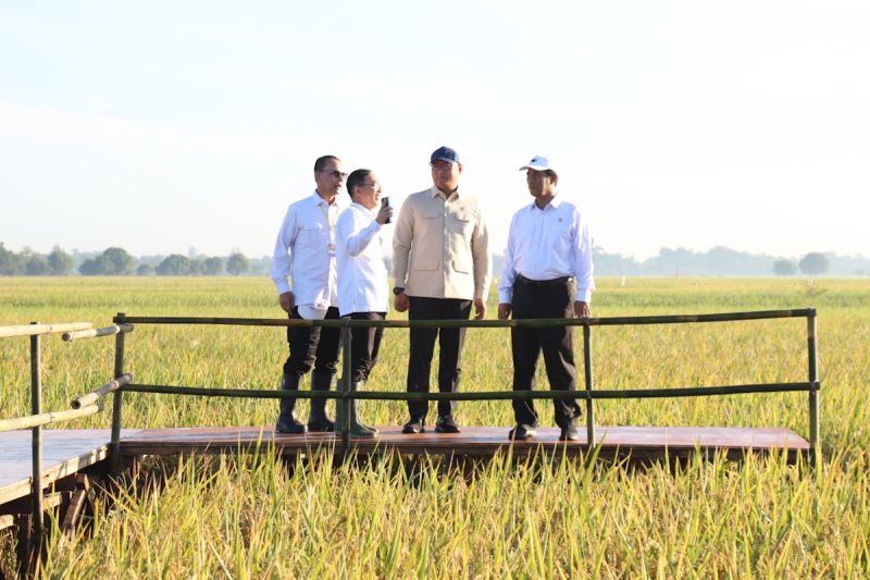 mentan-optimistis-indonesia-segera-wujudkan-swasembada-beras
