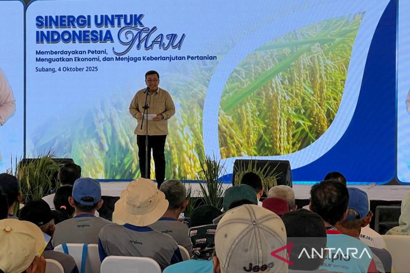 bappenas-sebut-swasembada-beras-jadi-prioritas-utama-pembangunan