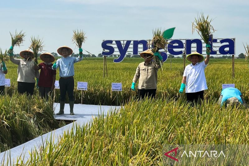 bappenas-dorong-keterlibatan-petani-milenial-dalam-pertanian-modern