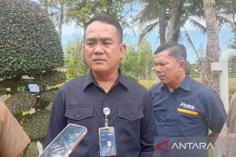 bulog-sumut-segera-salurkan-jagung-sphp-untuk-peternak-skala-mikro