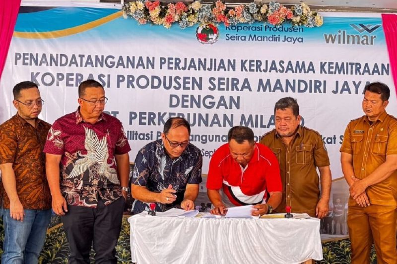 wilmar-perkuat-kemitraan-dengan-petani-sawit-di-labuhanbatu