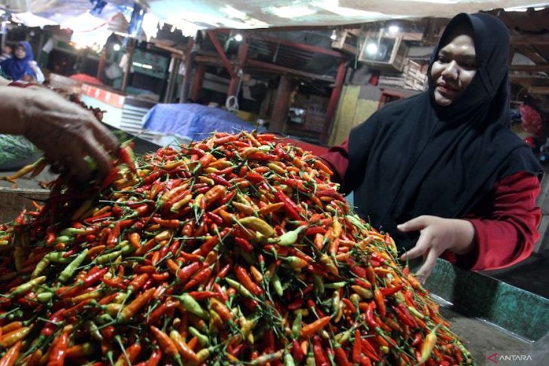 bapanas-harga-cabai-rawit-rp44267kg-bawang-merah-rp37403kg