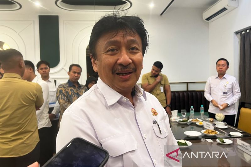 kemenhub-dukung-pembangunan-bandara-bali-utara-sesuai-visi-presiden