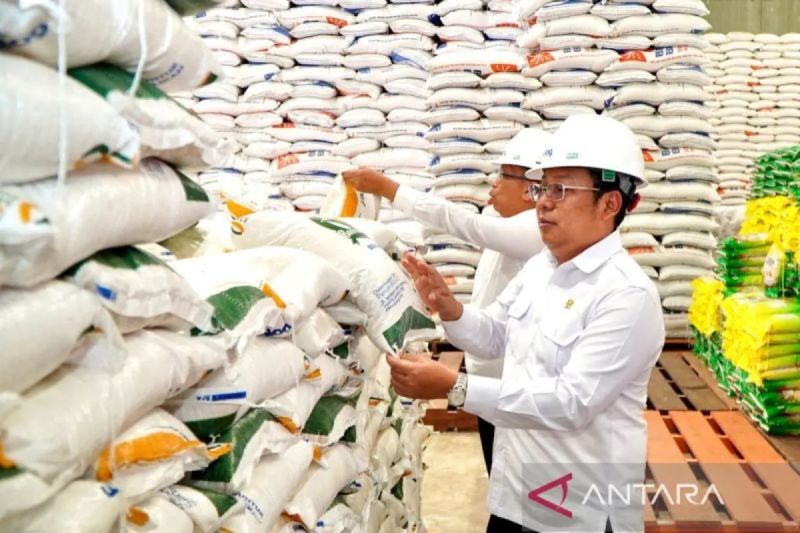 pemerintah-lakukan-pemrosesan-ulang-2999-ribu-ton-beras-turun-mutu