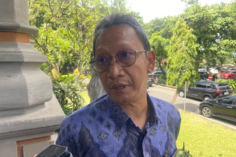 pemprov-tegaskan-belum-ada-penentuan-lokasi-bandara-di-bali-utara