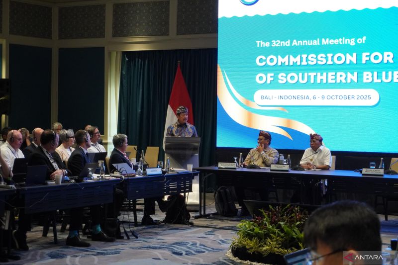 menteri-kp-ajukan-kenaikan-kuota-penangkapan-tuna-sirip-biru-selatan