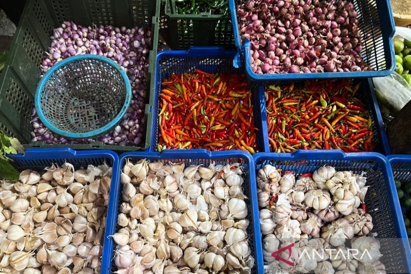 bapanas-harga-cabai-rawit-rp44565kg-bawang-merah-rp37624kg