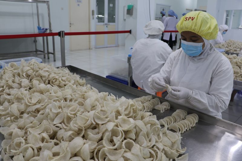barantin-investigasi-pembatasan-ekspor-sarang-burung-walet-ke-china