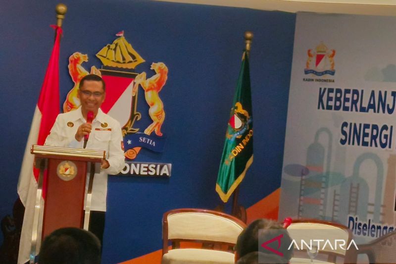 kadin-tekankan-optimalisasi-hgbt-untuk-pacu-daya-saing-industri