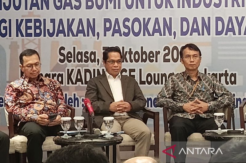 kemenperin-sebut-hgbt-beri-nilai-tambah-industri-hingga-rp496-triliun