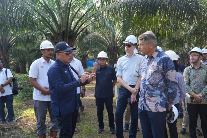 ptpn-iv-wujudkan-industri-sawit-berkelanjutan-lewat-tiga-pilar