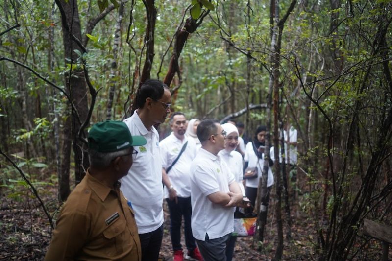 jasaraharja-putera-tanam-pohon-pelepak-dukung-wisata-hijau-di-belitung