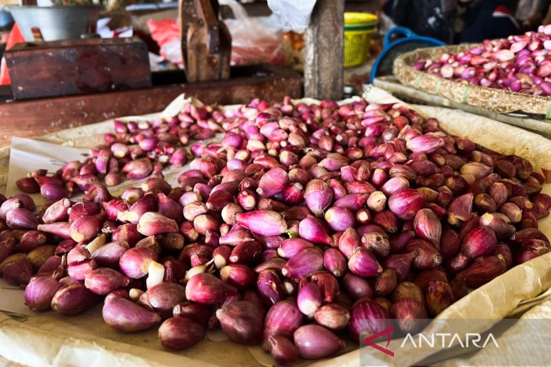 bapanas-harga-cabai-rawit-rp45031kg-bawang-merah-rp38100kg
