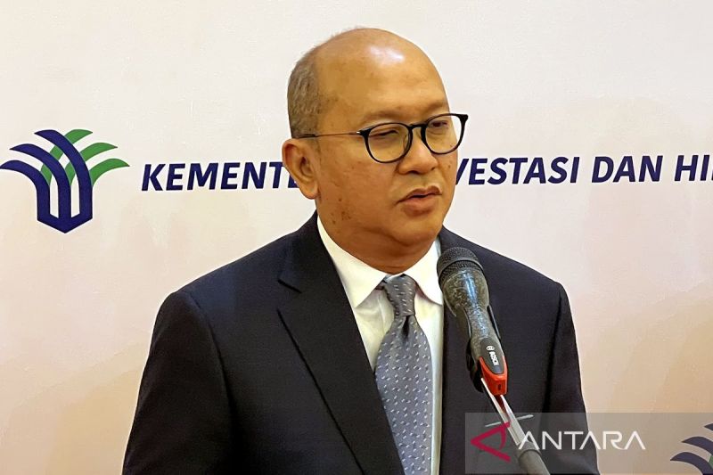 Rosan tanggapi rangkap jabatan Dony Oskaria di Danantara dan BP BUMN