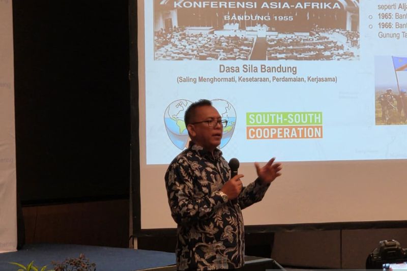 ldkpi-sebut-ri-bantu-pengembangan-tanaman-alpukat-palestina