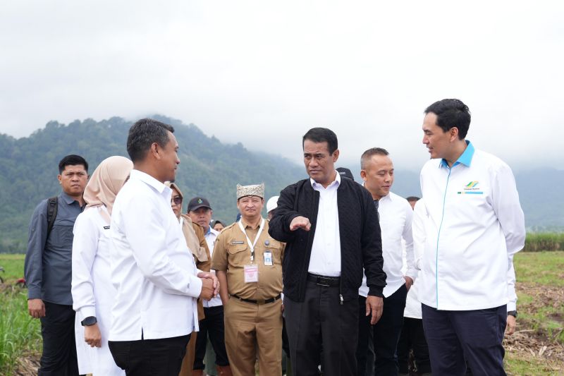 mentan-targetkan-bongkar-ratoon-di-jawa-capai-80053-hektare
