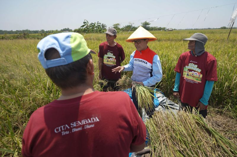 pertagas-pastikan-dukung-swasembada-pangan-lewat-cita-sembada