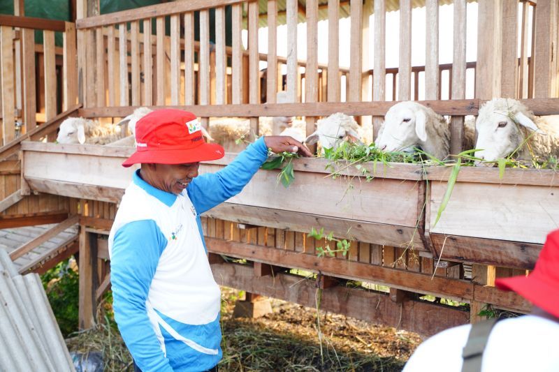 LivingLab berbasis masyarakat jadi solusi hadapi perubahan iklim