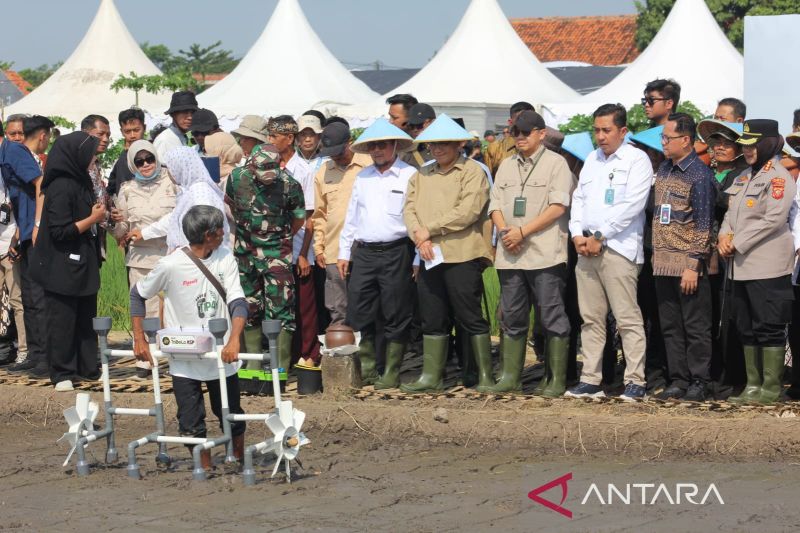 bp-taskin-uji-coba-program-sistem-pertanian-digital-di-cirebon
