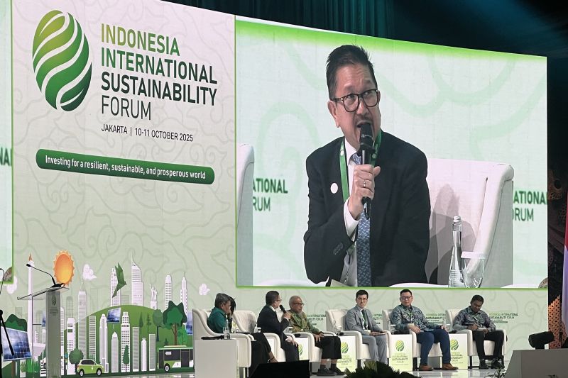 freeport-berencana-ganti-pltu-captive-dengan-lng