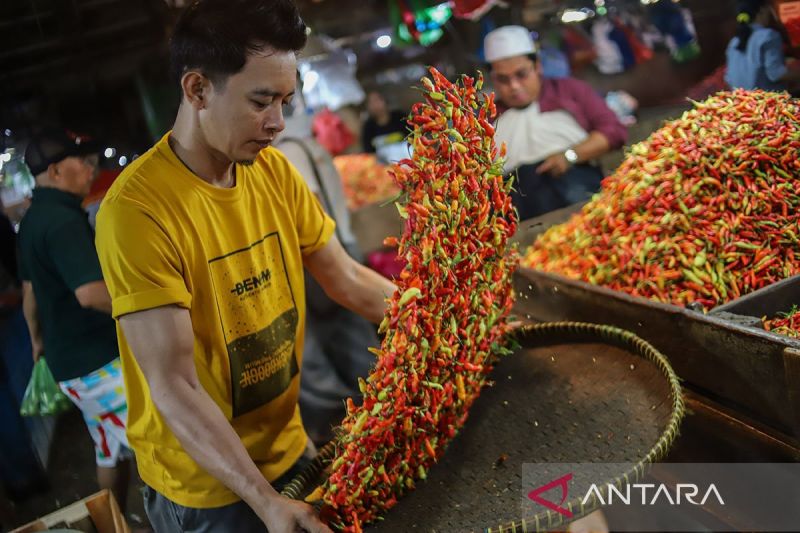 Harga cabai rawit turun jadi Rp44.858/kg, bawang merah Rp38.208/kg