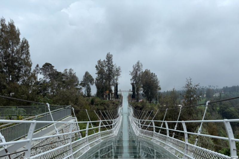 tnbts-sebut-operasional-jembatan-kaca-di-bromo-tunggu-proses-perizinan