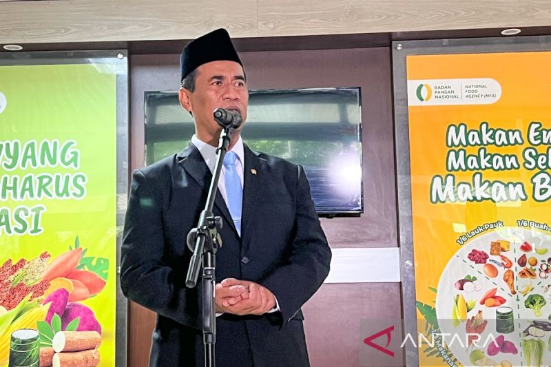 mentan-amran-sebut-penunjukan-sebagai-kepala-bapanas-demi-efisiensi