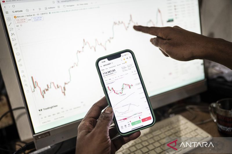 Trading information on Pluang platform