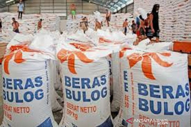 legislator-dukung-usulan-bulog-ditingkatkan-jadi-kementerian-pangan