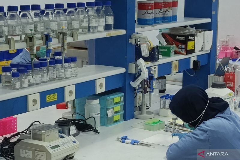 kunjungi-industri-farmasi-who-dorong-kolaborasi-penguatan-fitofarmaka