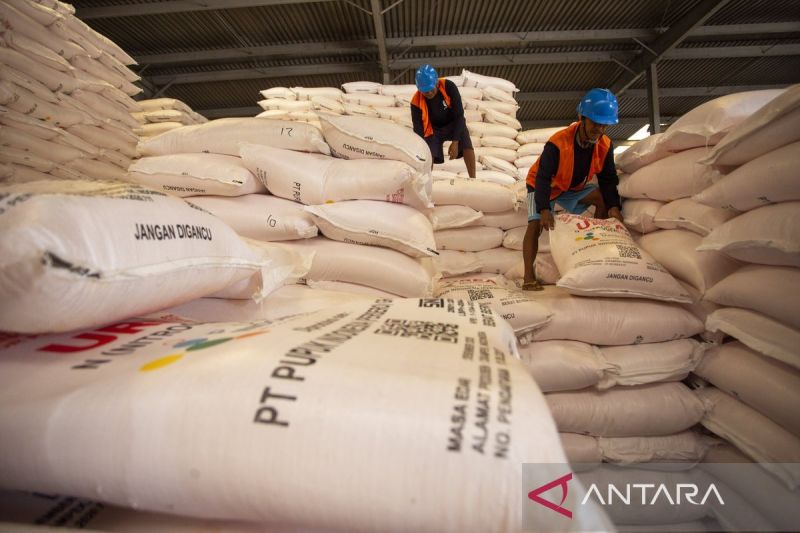 distribusi-pupuk-urea-dan-npk-bersubsidi-di-jabar-tembus-680-ribu-ton