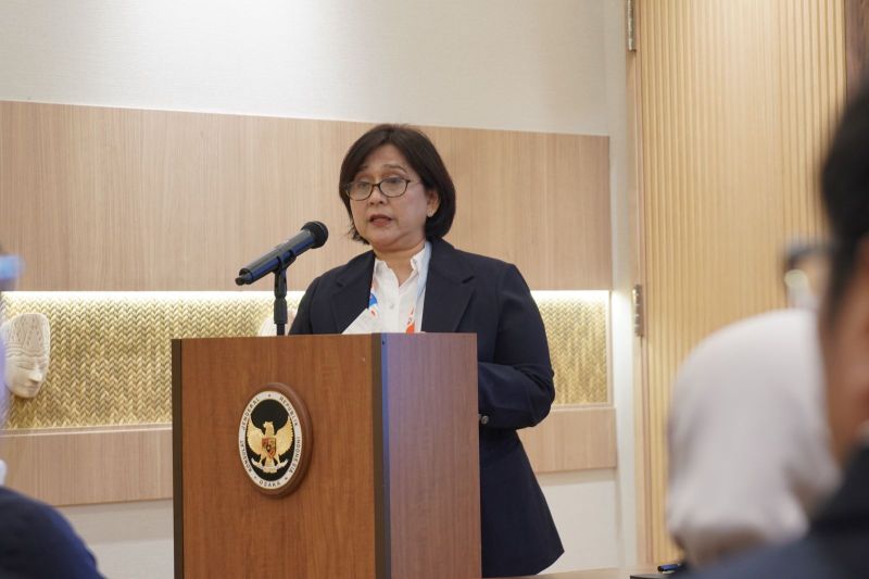 bappenas-mulai-studi-bersama-pengembangan-green-enabling-super-grid