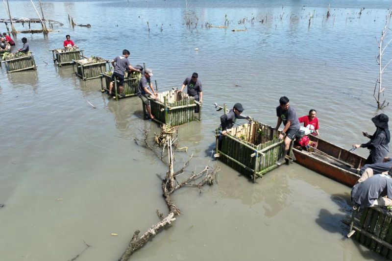 pln-indonesia-power-perkuat-ketahanan-ekologis-lewat-green-action-2025