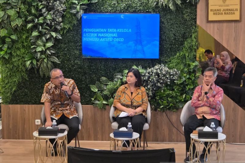 tim-peneliti-usul-pembentukan-lembaga-pengawas-tata-kelola-kelistrikan
