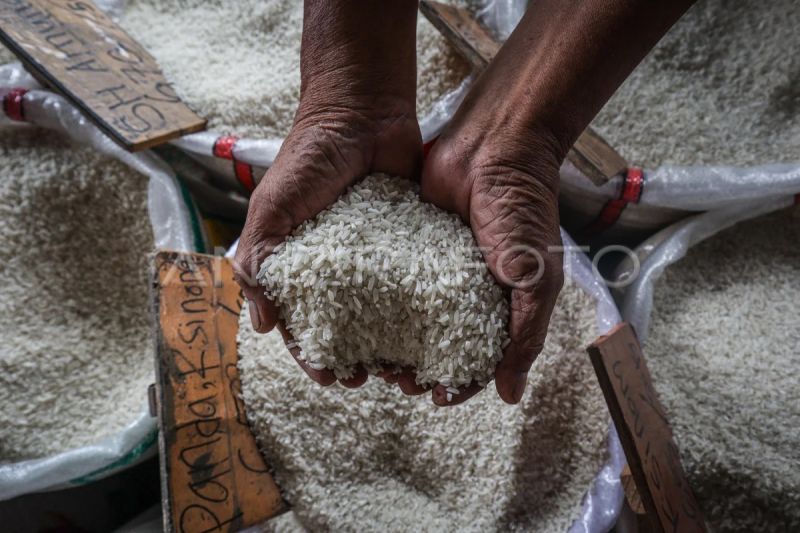 pemerintah-pertimbangkan-subsidi-angkutan-guna-tekan-harga-beras-di-3t