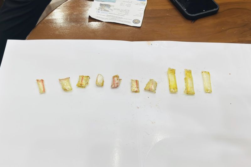 lapas-narkotika-jakarta-gagalkan-penyelundupan-sabu-lewat-ayam-kecap