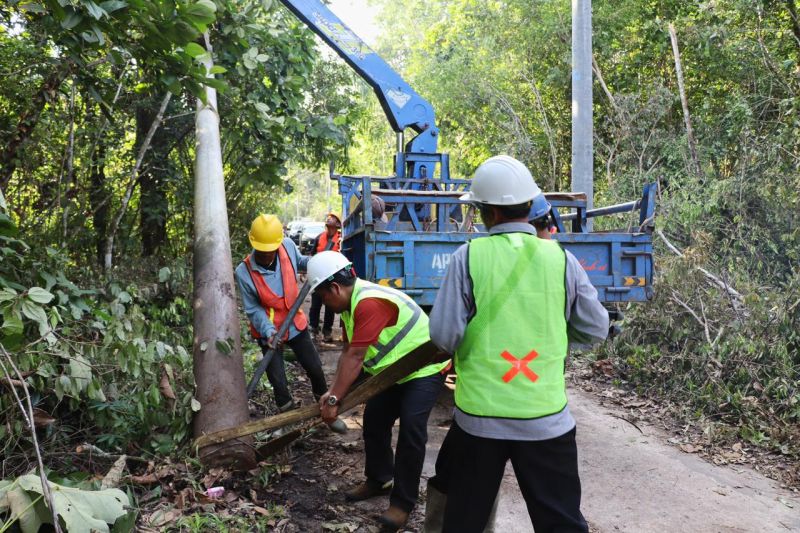 lisdes-pln-menerangi-11-desa-se-sulselrabar-pada-2025