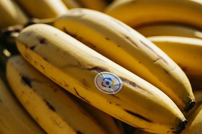 Pengguna Nano Banana di Indonesia hasilkan 18 juta gambar per hari