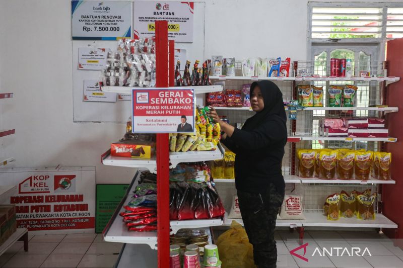 Ekonom: Himbara tetap selektif membiayai kopdes meski dijamin pemerintah