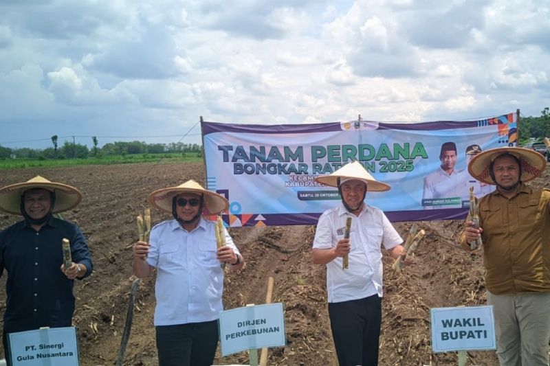 magetan-tanam-perdana-bongkar-ratoon-tebu-perkuat-swasembada-gula