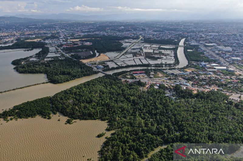 kredit-karbon-baru-pertamina-nre-terjual-90-persen