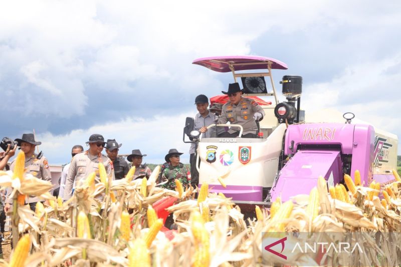 Tanah Bumbu Police successfully turn idle land into productive corn farming