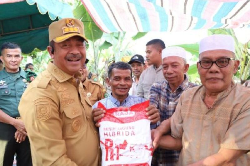 pemkab-madina-salurkan-2475-ton-benih-jagung-hibrida-dari-kementan