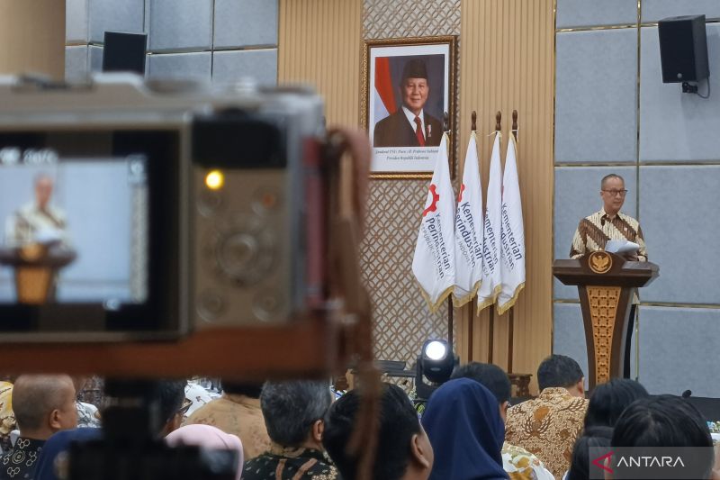 menperin-sebut-perlindungan-pasar-domestik-jadi-prioritas-utama