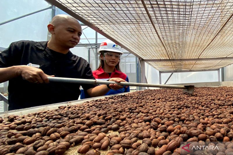sentuhan-panas-bumi-menyajikan-kopi-kamojang-hingga-mendunia