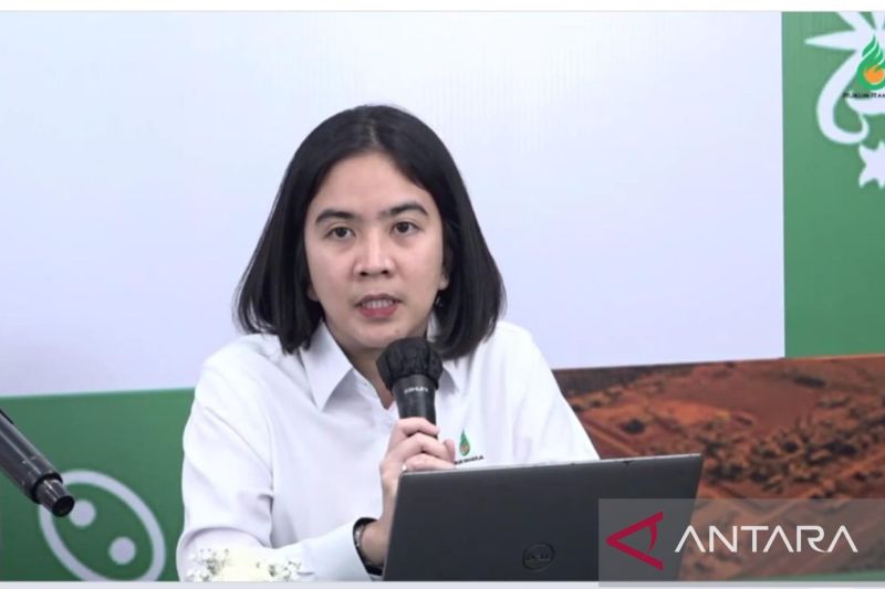 emiten-happy-hapsoro-siapkan-capex-60-juta-dolar-as-untuk-proyek-2026
