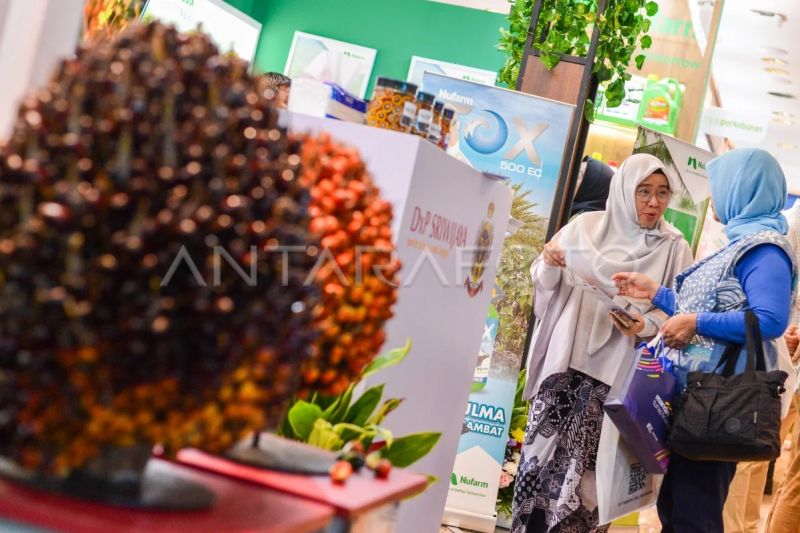 ipoc-2025-bahas-tantangan-industri-sawit-dari-tarif-trump-hingga-eudr