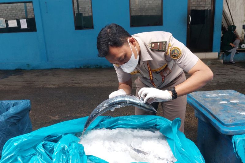 barantin-catat-2-juta-lebih-sertifikasi-selama-januari-oktober-2025